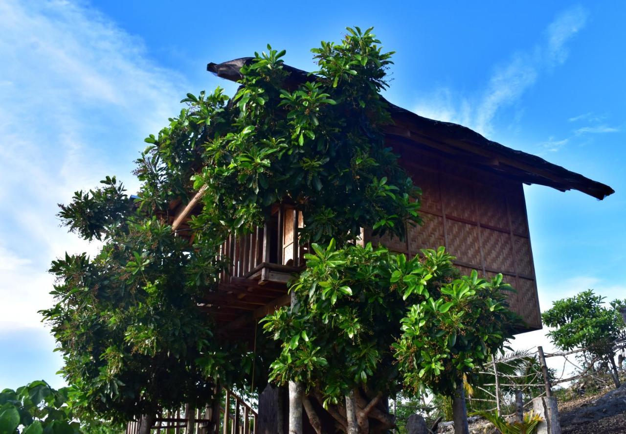 Kamp Aninipot Hotel Siquijor Exterior foto